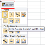 Excel Tips - Paste with Columns Width 0