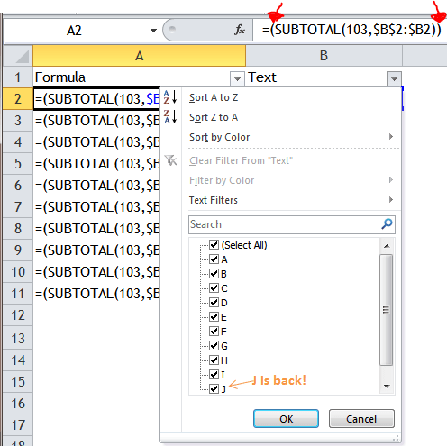 Excel Tips - Filter Bug 5