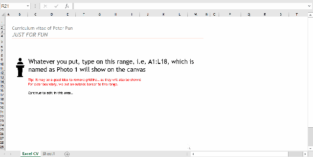 Excel Tips - Interactive CV (just for fun) 1